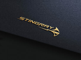Stingray Logo